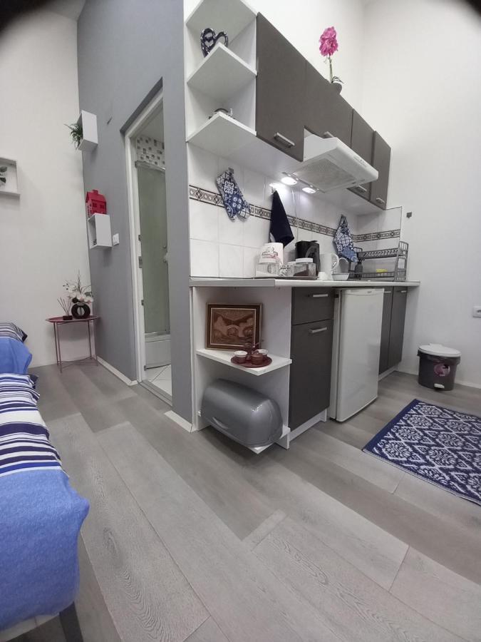 Apartman Stari Most - Old Bridge Bečej Екстериор снимка